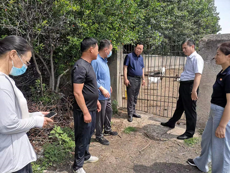 图片7.jpg 图片7.jpg