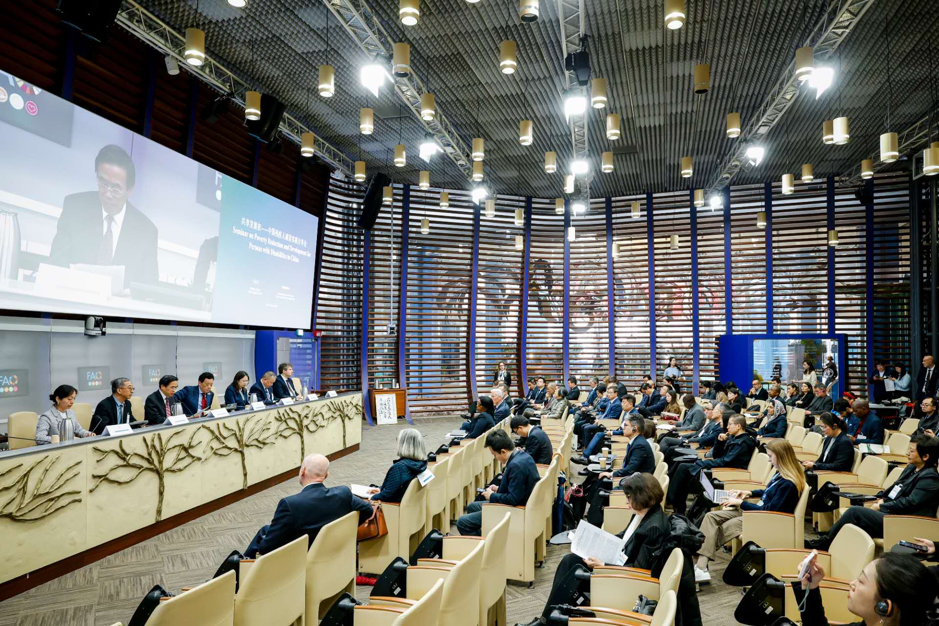 图为中国残疾人减贫实践分享会现场 图为中国残疾人减贫实践分享会现场